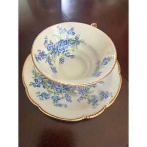 Mitterteich Bavaria Germany Forget Me Not Tea Cup and Saucer Set Gold Trim 45